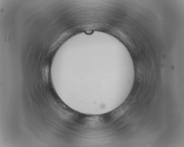 X0000070370118200607072138