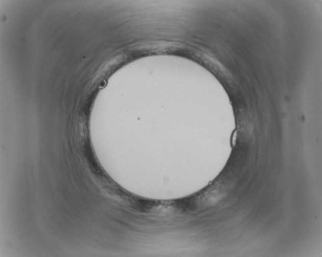 X0000070370119200607072138