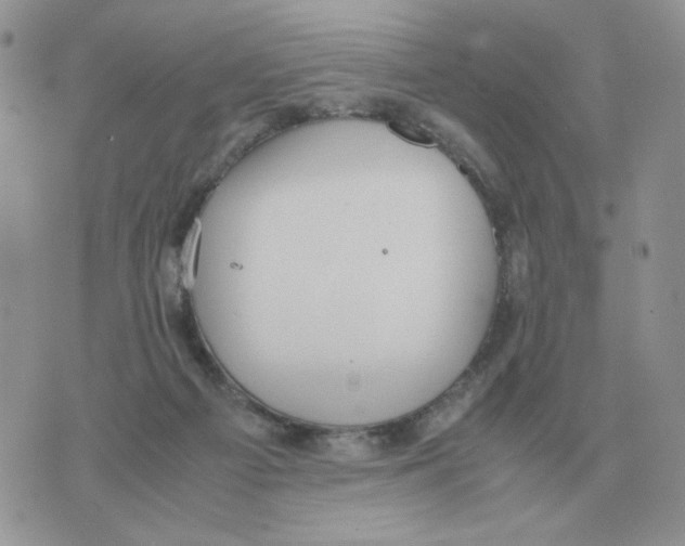 X0000070370121200607072138