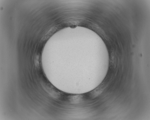 X0000070370122200607072138