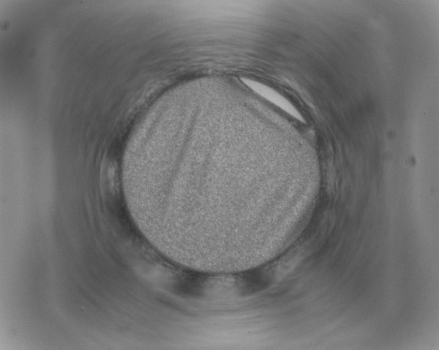 X0000070370123200607072138