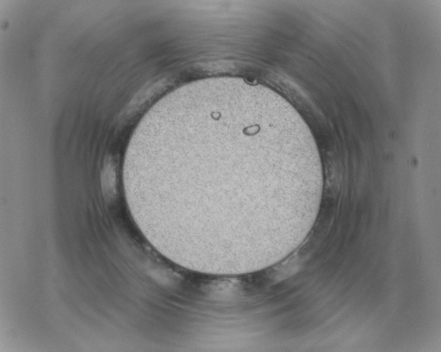 X0000070370124200607072138