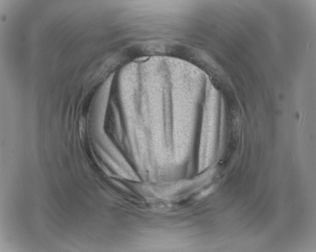 X0000070370125200607072138