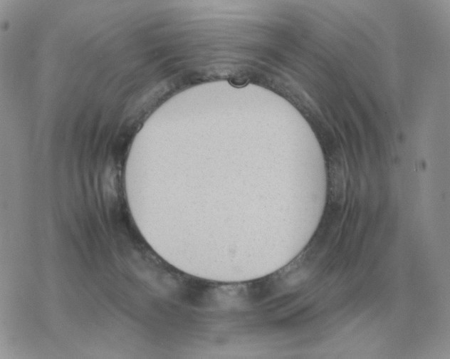 X0000070370126200607072138