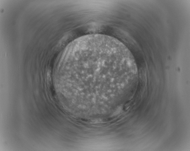 X0000070370127200607072138