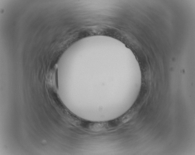 X0000070370129200607072138