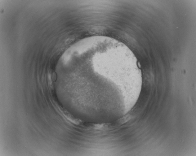 X0000070370130200607072138