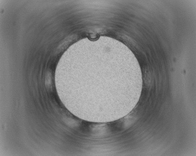 X0000070370132200607072138