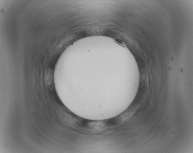 X0000070370133200607072138