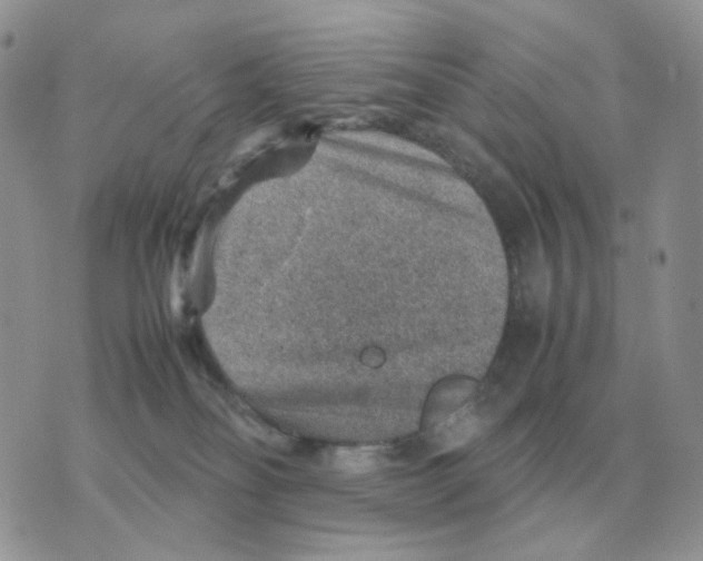 X0000070370134200607072138