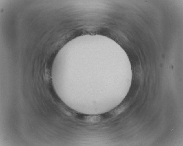 X0000070370135200607072138