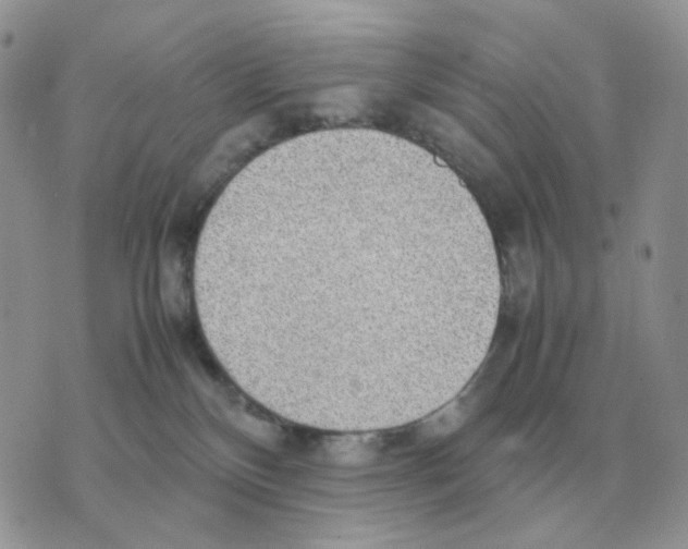 X0000070370136200607072138