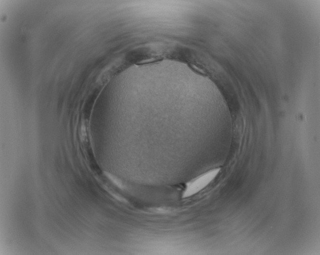 X0000070370137200607072138