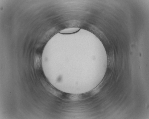 X0000070370142200607072138