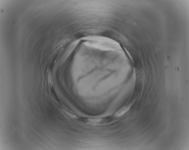 X0000070370143200607072138