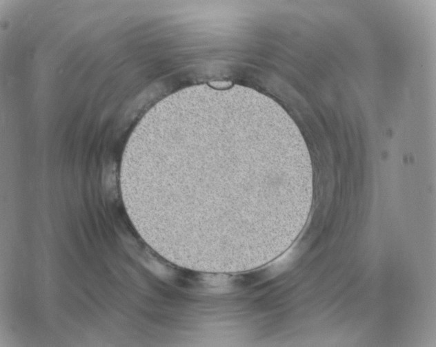 X0000070370144200607072138