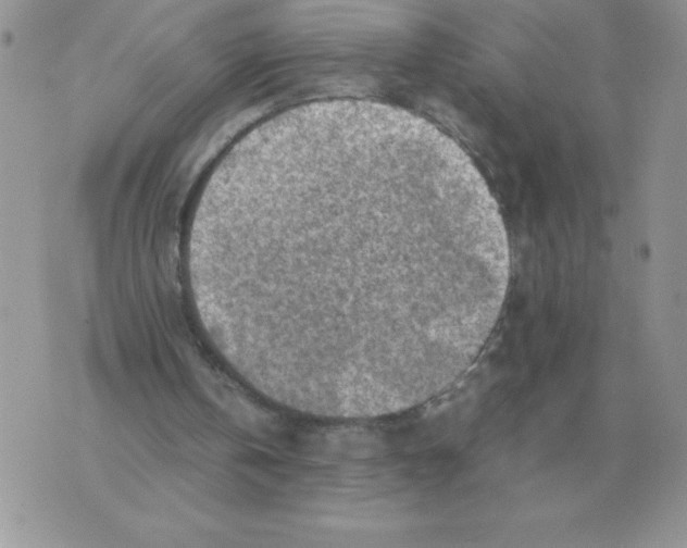 X0000070370146200607072137