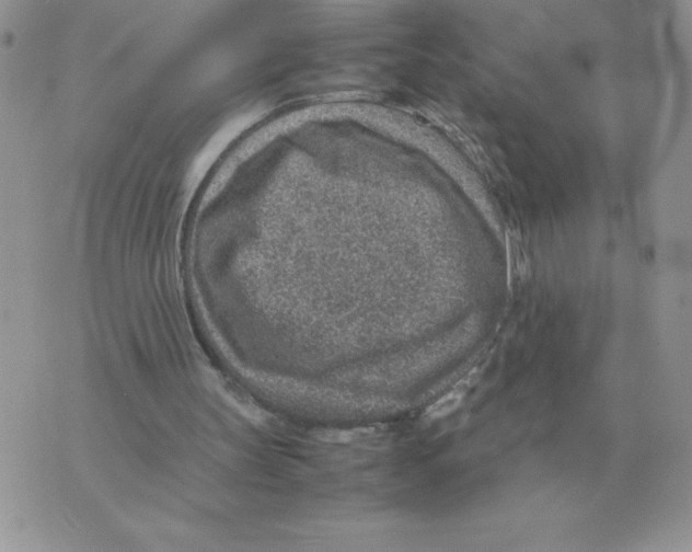 X0000070370147200607072137