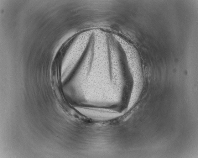 X0000070370148200607072137