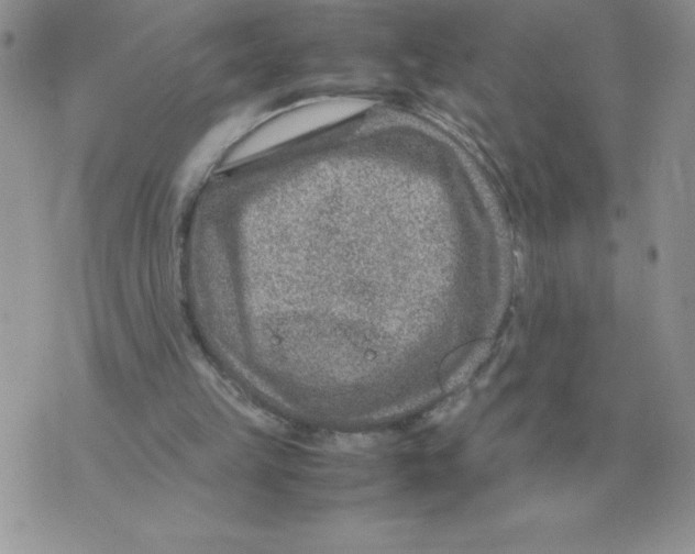 X0000070370149200607072137