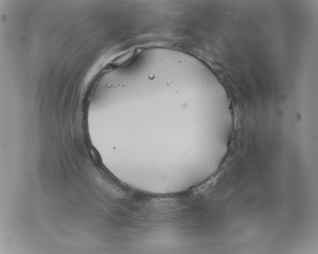 X0000070370150200607072137