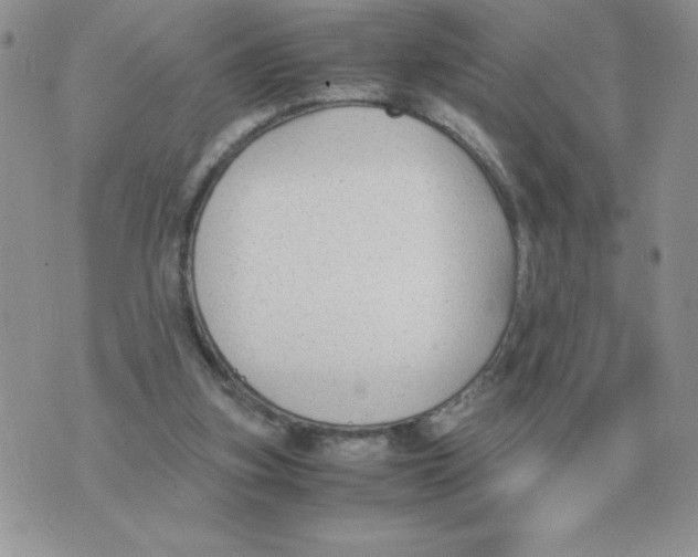 X0000070370155200607072137