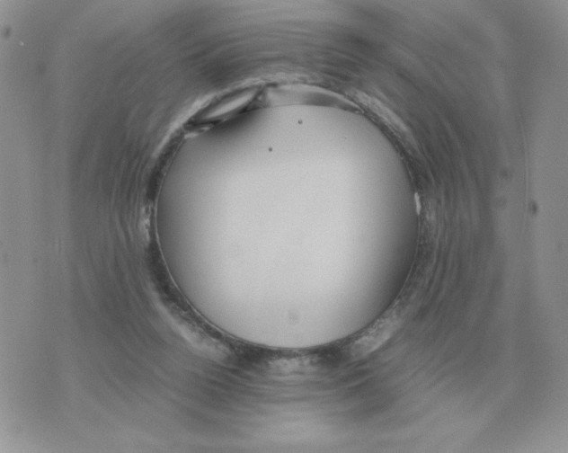 X0000070370160200607072137