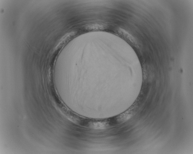 X0000070370163200607072137