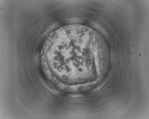 X0000070370165200607072137