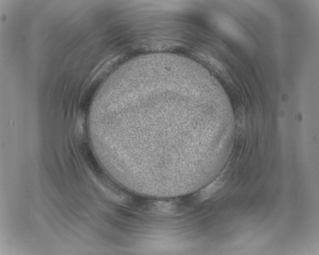 X0000070370166200607072137