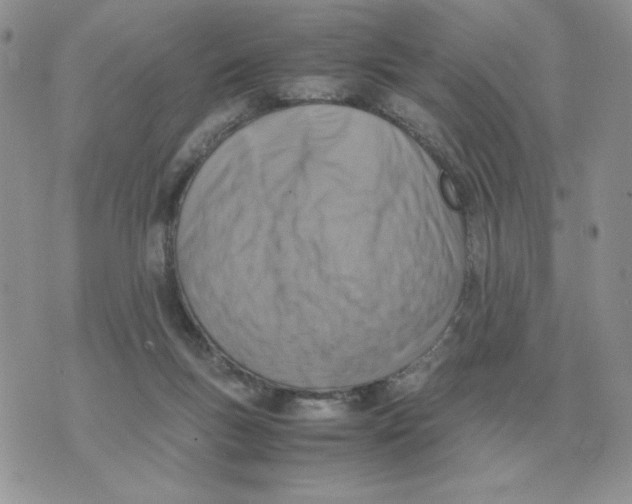 X0000070370167200607072137