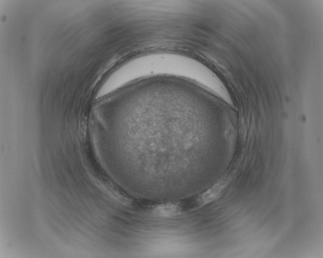 X0000070370168200607072137