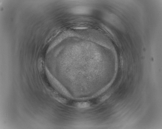 X0000070370169200607072137