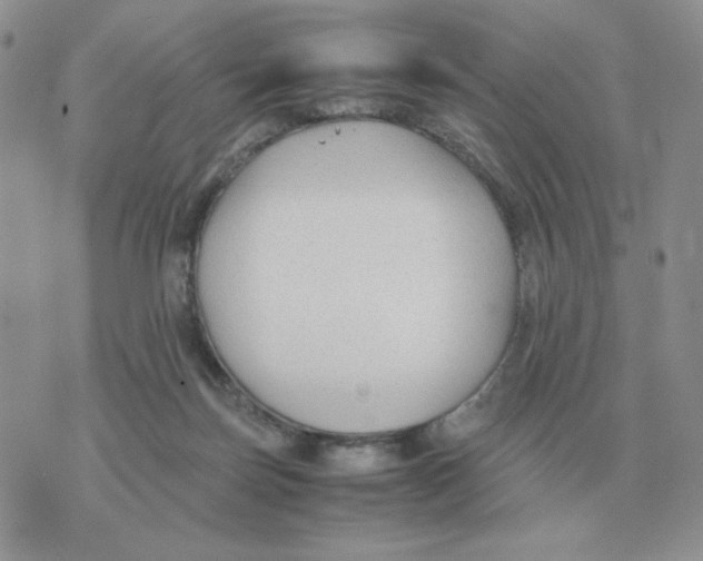 X0000070370171200607072137