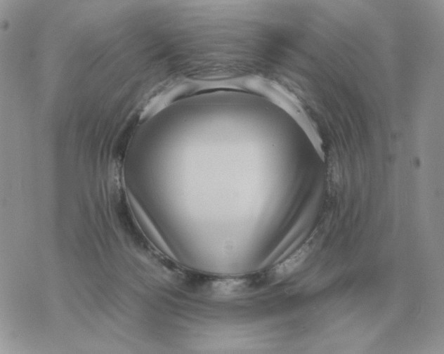 X0000070370172200607072137