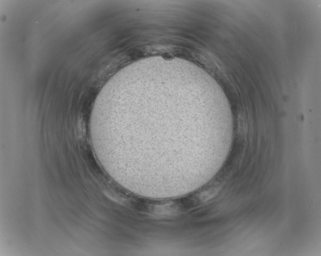 X0000070370173200607072137