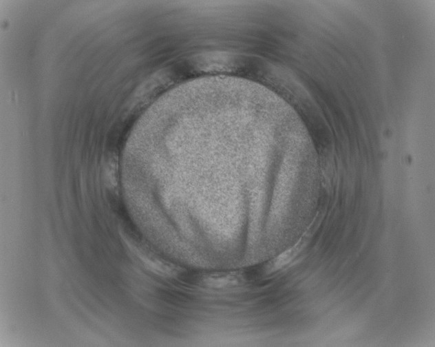 X0000070370175200607072137