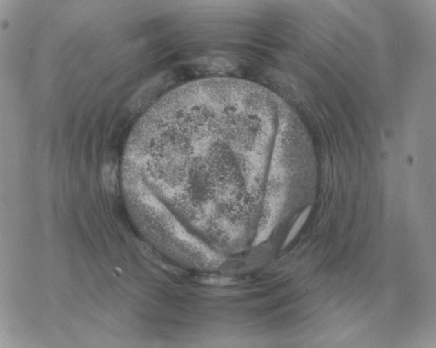 X0000070370177200607072137