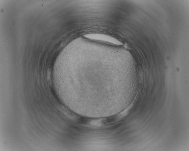 X0000070370178200607072137