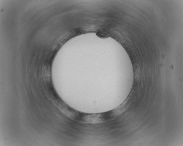 X0000070370179200607072137