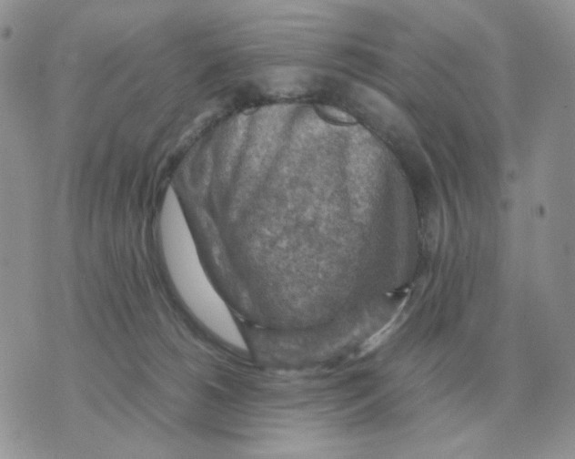 X0000070370180200607072137