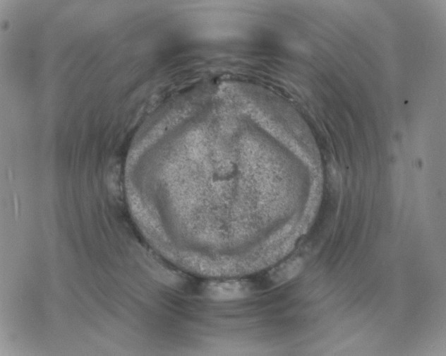 X0000070370181200607072137