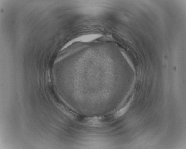 X0000070370182200607072137