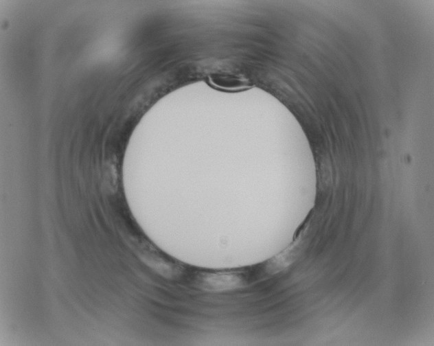 X0000070370183200607072137