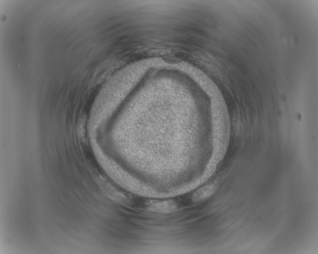 X0000070370185200607072137