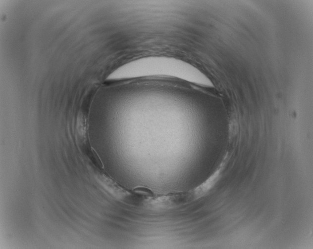 X0000070370186200607072137