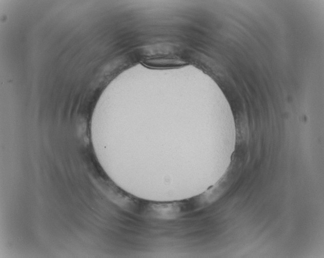 X0000070370187200607072138