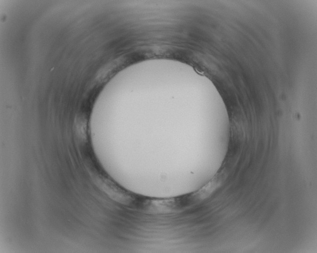 X0000070370188200607072138