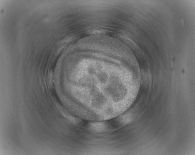 X0000070370189200607072138