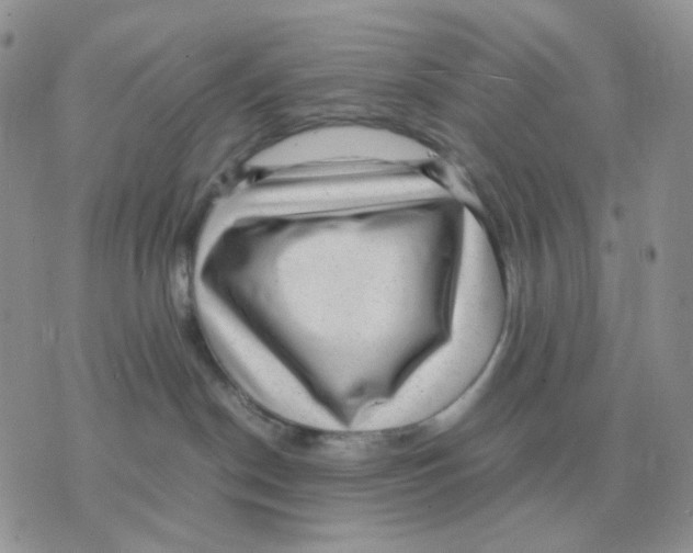 X0000070370190200607072138